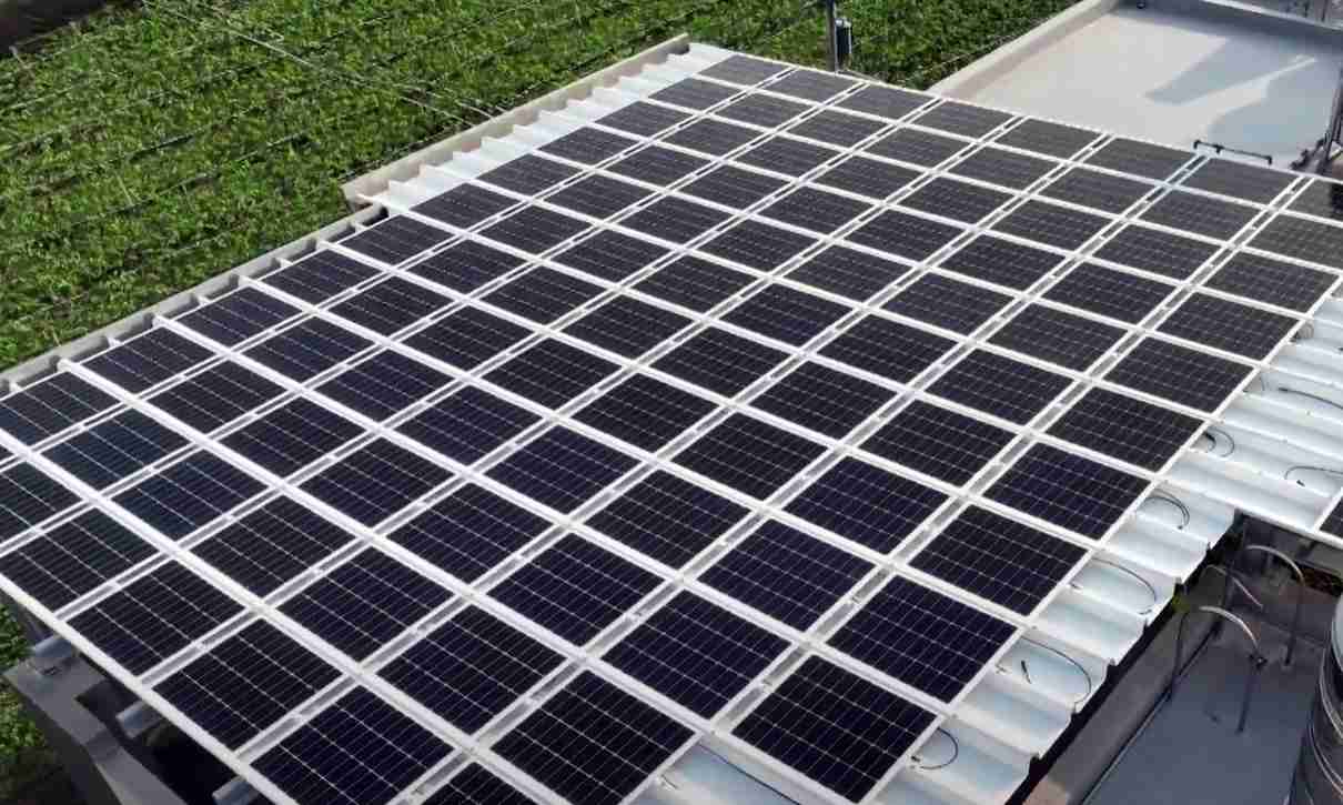 JDB电子SunSteel光电浪板升级双玻结构，，，，以提升机械负载强度及气候耐候度，，，，可广泛运用于多元场域